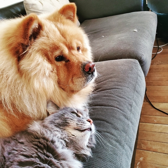 Howdy do poshers! - Picture 2 of 3